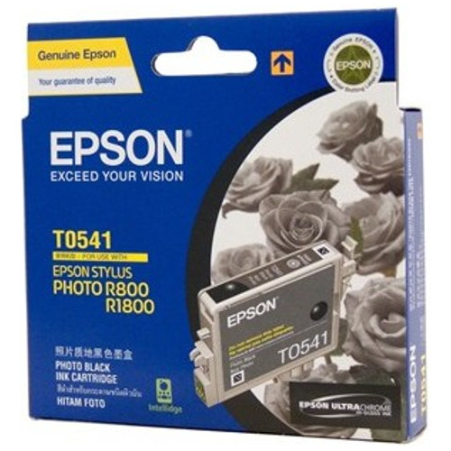 Epson T0541 Photo Black Ink - 550 pages 